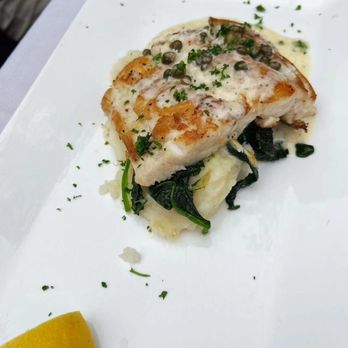 Tree House Cafe - Mediterranean Near Me - Carmel, California Tree House Cafe - Mediterranean Near Me - Carmel, California