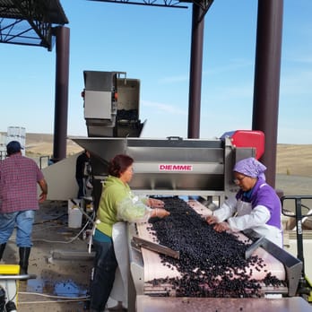 Garza Wine Tours - Wine Tours Near Me - Walla Walla, Washington