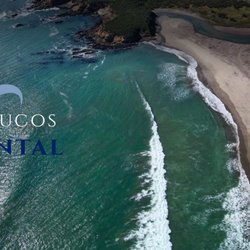 Cayucos Dental