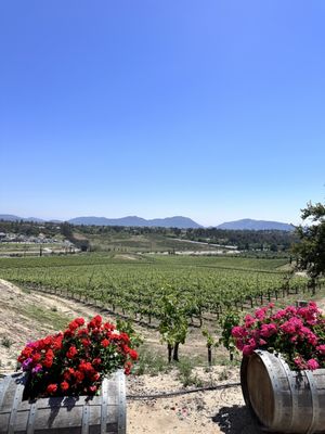 Callaway Vineyard & Winery by null