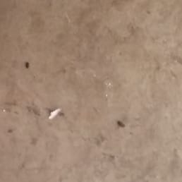 Rat feces!! My unit was infested with rats and Roaches.. Rat feces!! My unit was infested with rats and Roaches..
