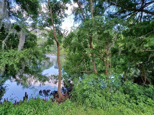 Audubon Park Loop by null