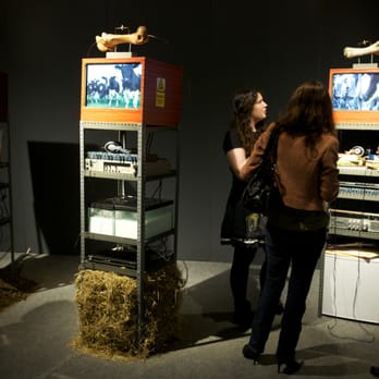 Science Gallery Dublin - Living art at VISCERAL - Museums Near Me - Dublin, D Science Gallery Dublin - Living art at VISCERAL - Museums Near Me - Dublin, D