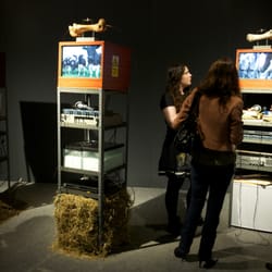 Science Gallery Dublin - Living art at VISCERAL