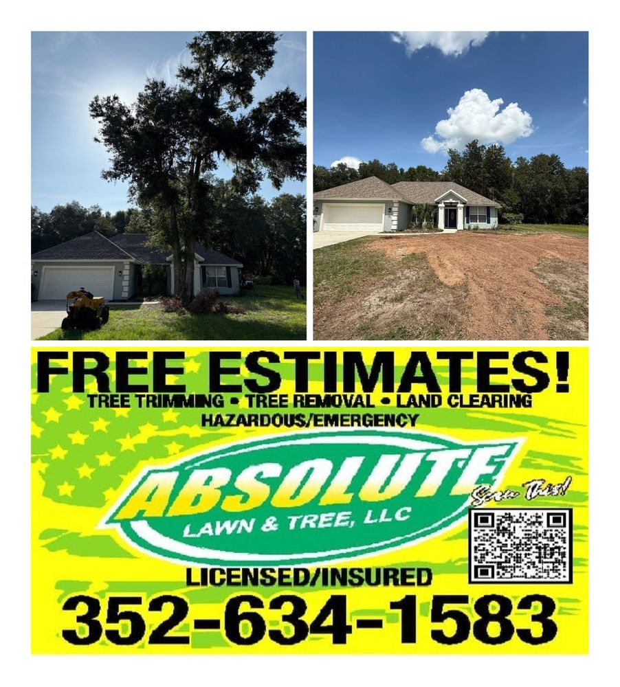 Absolute Lawn and Tree - tree service in Floral City, FL