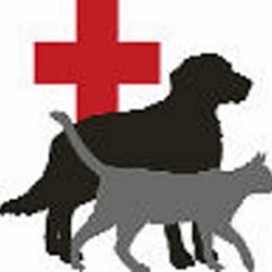 Animal Medical Hospital