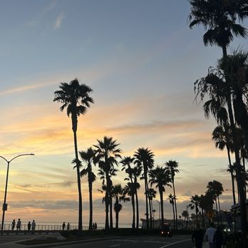 Dini's By The Sea - Seafood Near Me - Carlsbad, California
