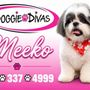 Photo of Doggie Divas Grooming Salon