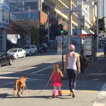 Peet's Coffee - Drinks consumed; time to walk the dog! - Coffee & Tea Near Me - San Francisco, California