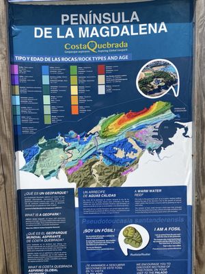 Magdalena Peninsula by null