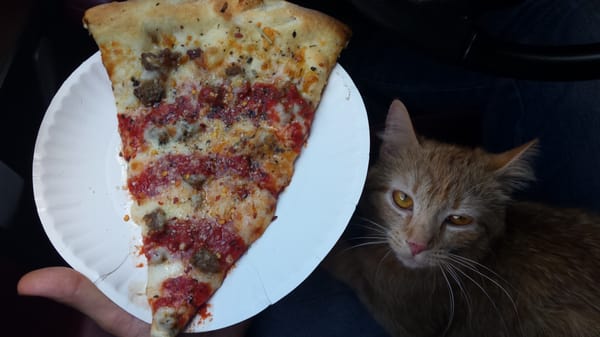 The Pizza Stop by null