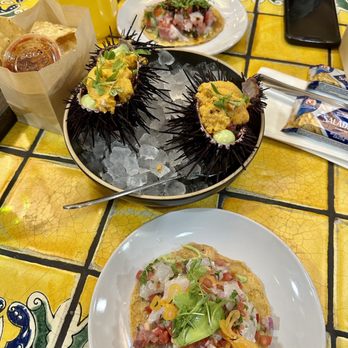 Holbox - Tostada de Lenguado, Jurel and Live Sea Urchin & scallops - Soooo fresh!!! - Latin American Near Me - Los Angeles, California Holbox - Tostada de Lenguado, Jurel and Live Sea Urchin & scallops - Soooo fresh!!! - Latin American Near Me - Los Angeles, California
