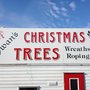 Swans Quality Christmas Trees