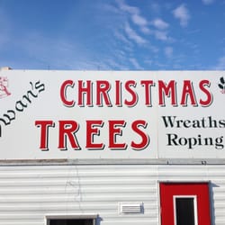 Swans Quality Christmas Trees - Swans Quality Christmas Trees