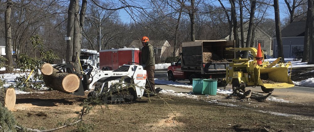 J D Pasquale Tree - tree service in West Brookfield, MA