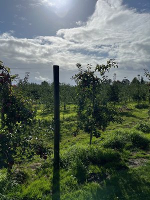 Beilke Family Farm by null
