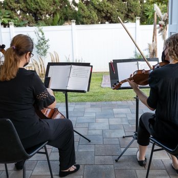 OurStrings4You - Musicians Near Me