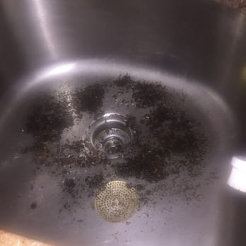 Parkchester Preservation Management - Debris remaining in the sink from the overflow. After I drained the sink with a bucket and old towels - Property Management Near Me - The Bronx, New York