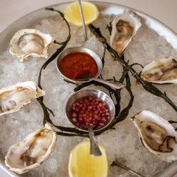 Oysters Oysters