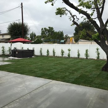Robert's Complete Care - AFTER- note, tree trim and plants done separately, concrete and lawn was all Robert's crew - Landscaping Near Me