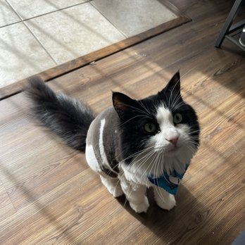 Purrfect Pet Parlor - Pet Groomers Near Me - Long Beach, California Purrfect Pet Parlor - Pet Groomers Near Me - Long Beach, California