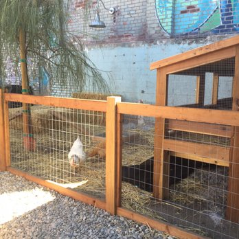Hauser & Wirth - Chicken coupe - Art Galleries Near Me - Los Angeles, California