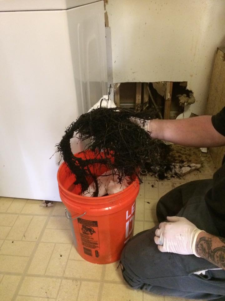 Slide of Roto-Rooter