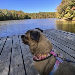 Madison County Nature Trail - Green Mountain