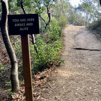Villa Montalvo - Hiking Near Me - Saratoga, California Villa Montalvo - Hiking Near Me - Saratoga, California