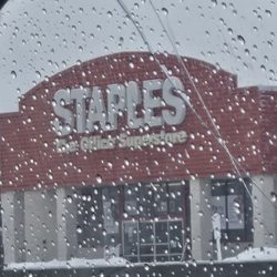 Staples