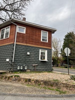 Palm and Pine by null