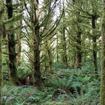 Lord Hill Regional Park - Parks Near Me - Snohomish, Washington