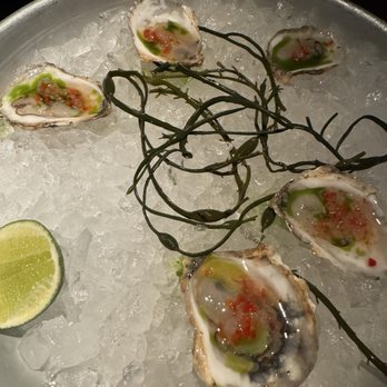 Bludorn - Dressed Oysters - New American Near Me - Houston, Texas