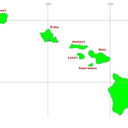 Island Tenant Services