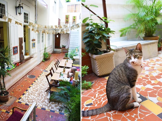 Discovery Hostel Rio by null