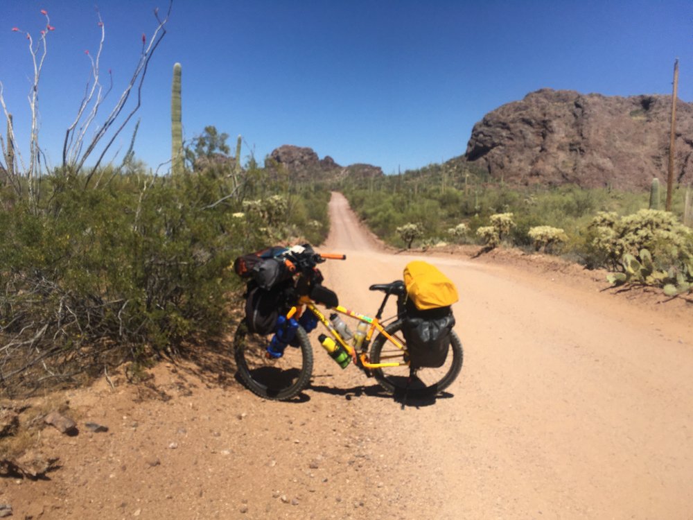 TUCSON BICYCLE SERVICE Updated September 2024 11 Photos & 10