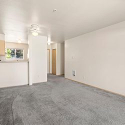Mill Pond Apartments - Unfurnished Living Area