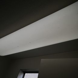 Bugs in ceiling light Bugs in ceiling light