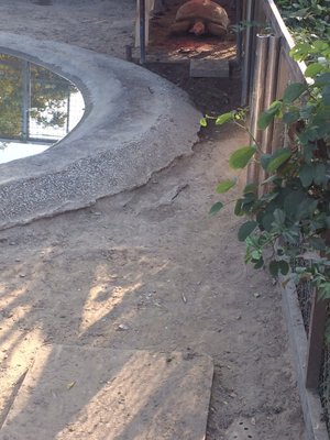 Shoushan Zoo by null