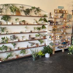 VineHouse Lounge - Beautiful plant wall!