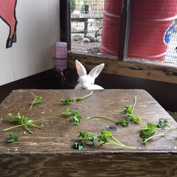 Maplewood Farm - Farms Near Me - North Vancouver, British Columbia