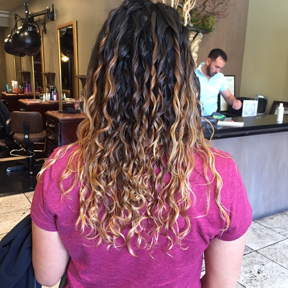 Ana Nelson Hair Stylist Logo