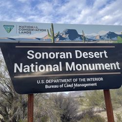 Sonoran Desert National Monument