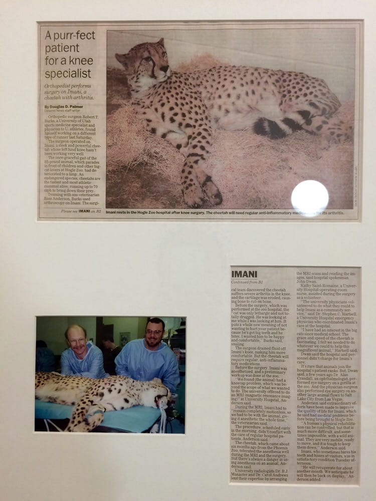 BURKS ROBERT T MD ORTHOPAEDICS 590 Wakara Way, Salt Lake City, Utah