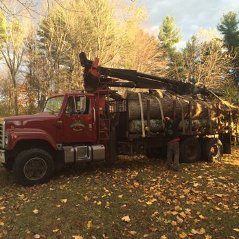 FX Tree Service - Tree Services Near Me - Rochester, New Hampshire FX Tree Service - Tree Services Near Me - Rochester, New Hampshire