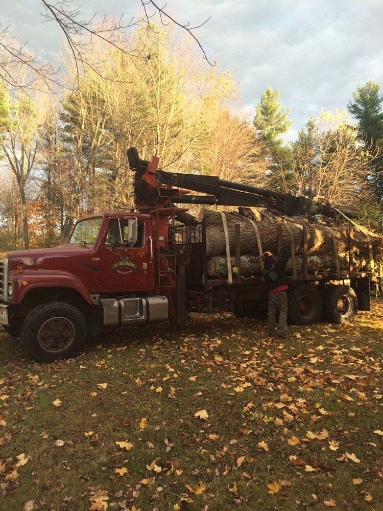 FX TREE SERVICE LLC