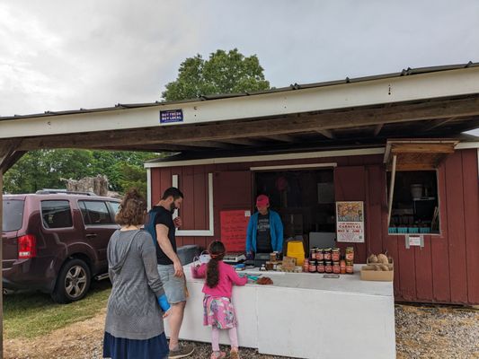 Salem Berry Farm by null