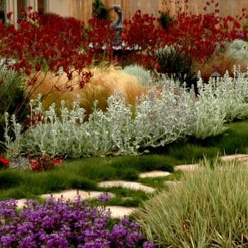 Ambience Garden Design - We provide innovative planting combinations for year round color and interest - Landscaping Near Me - San Jose, California Ambience Garden Design - We provide innovative planting combinations for year round color and interest - Landscaping Near Me - San Jose, California