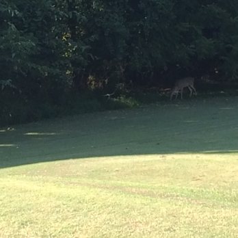 Shelby Golf Course - Golf Near Me - Nashville, Tennessee