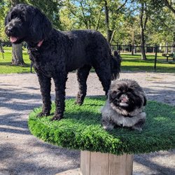 Como Lake Bark Park
